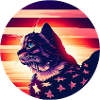 American Cat Sunset