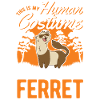 Ferret Costume Halloween