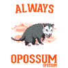 Opossum Gift Possum Marsupial