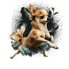Chihuahua | Ballerina | Ballet | Dance | Dancing |