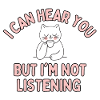 I Can Hear You But Im Not Listening