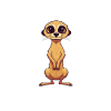 Erdmännchen Scharrtier Tier