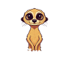 Erdmännchen Scharrtier Tier