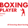 Sport Fighter Definition Boxing