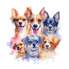 Dog funny pack