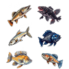 Fische Angler