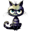 Ugly cat