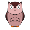 Owl Bird Night Bird