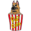 Popcorn kino hundefilmer film filmkveld