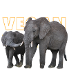 Éléphants végétaliens