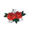 J'peux Pas Roses