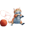 Cat with wool