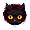 Curious Black Cat