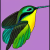 ColibriArtCollection 11