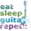 Eat Sleep Guitar Repeat