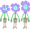 fun flower group