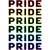 ALL PRIDE 6v