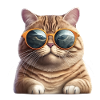 Fette Katze mit Sonnenbrille