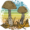 fungi