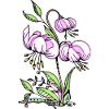 Fleur
