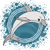 Delfin