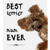 Best terrier mum ever