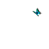 Eisbär mit Schmetterling