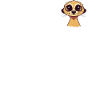 Meerkat Scratching Animal