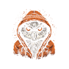 Nachteule Eule Eulen Vogel