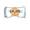 Erdmännchen Scharrtier Tier