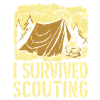 Boy Scout Funny