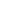 Scout