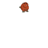 Spreewald Flüsterer