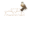 Falknerei Vogel Falke Jagd Falkner