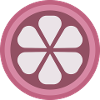 Sliced Mangosteen