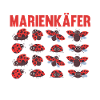 Marienkäfer