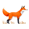 Freundlicher Fuchs am Feldrand Rotfuchs