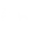 Golden Retriever mit Frau