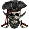 pirate, privateer, buccaneer, buccaneer