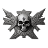 Skull with metal cross