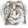 Chow Chow Hund