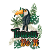 Toucan Do It
