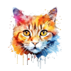 Britisch Kurzhaar Katze
