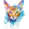 Eine farbenfrohe Siamkatze