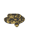 Serpent python boule
