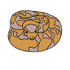 Ball python snake