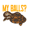 Serpent python royal