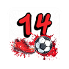 14th Birthday Football