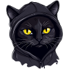 Cat Head Black Cat Bombay Happy Cat Cats