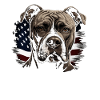 Pitbull - American Pitbull Hundebesitzer